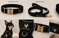 SAINT HOUND Signature Bundle