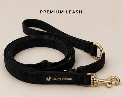 SAINT HOUND Signature Lead