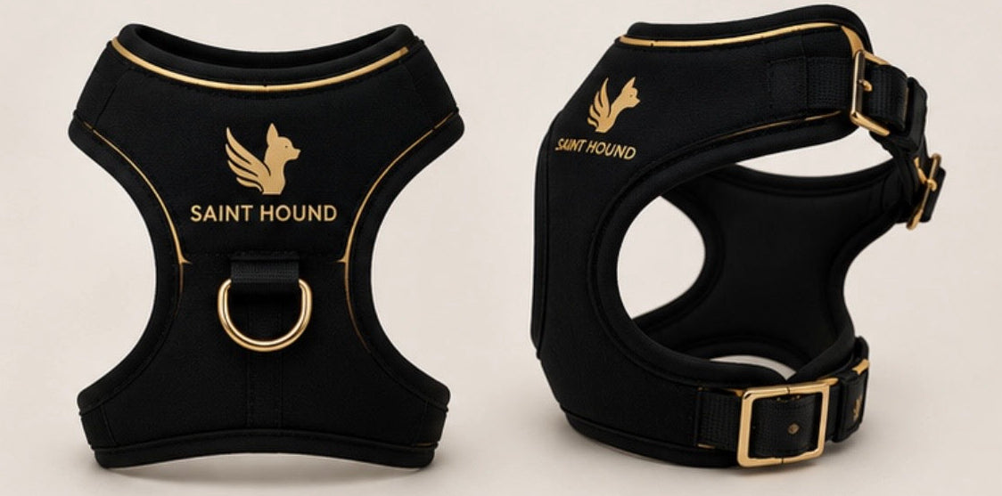 SAINT HOUND Signature Harness
